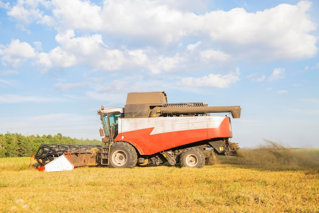 Traktor na polu przeciwko niebu