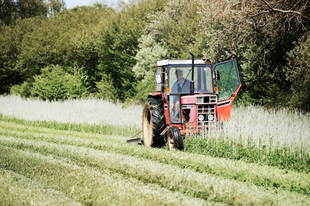 Traktor przecinający wysokie trawy i kwiaty na polu.