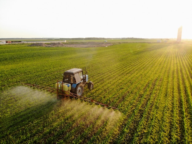 Traktor rozpyla pestycydy na polach kukurydzy o zachodzie słońca