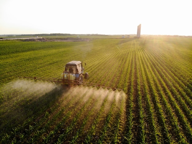 Traktor rozpyla pestycydy na polach kukurydzy o zachodzie słońca