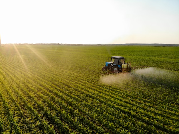 Zdjęcie traktor rozpyla pestycydy na polach kukurydzy o zachodzie słońca