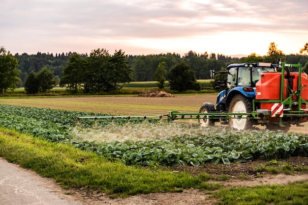 Traktor rozpylający pestycydy na polu kapusty