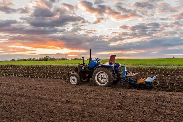 traktor w środku pola o zachodzie słońca zbliżenie krajobrazu wiejskiego