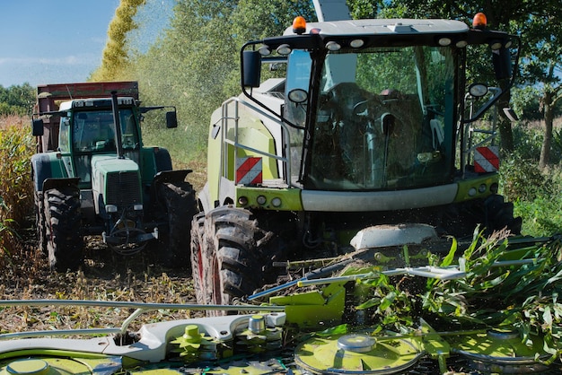 Zdjęcie traktory według roślin w gospodarstwie rolnym