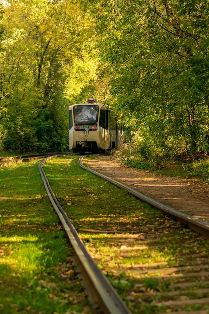 Tramwaj Porusza Się Po Pięknym Jesiennym Parku