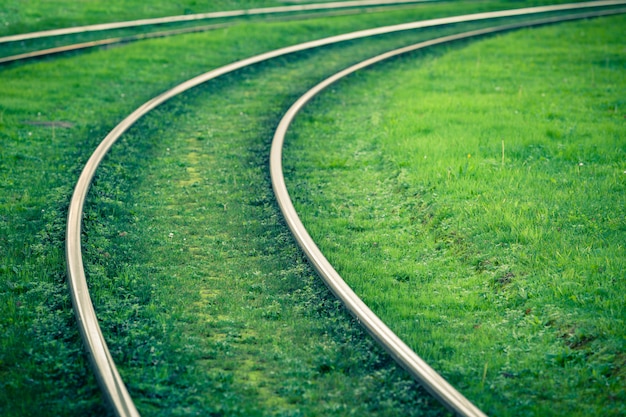 Tramwaje pokryte zieloną trawą