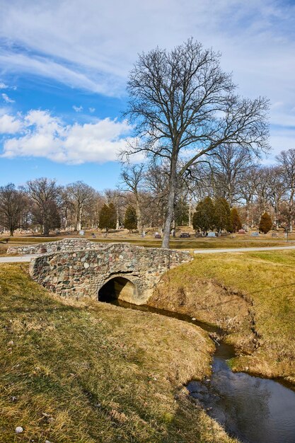 Tranquil Park z kamiennym mostem i cmentarzem Lindenwood Stream