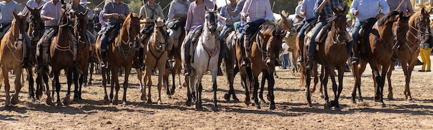 Zdjęcie transfer klaczy to wydarzenie hodowlane w el rocio huelva hiszpania po hiszpańsku saca de yeguas