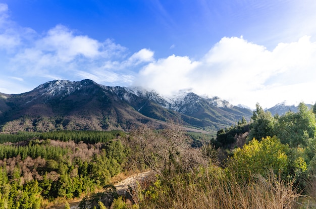 Trapa Trapa, region rdzennych ludów Alto Bo Bo, chile