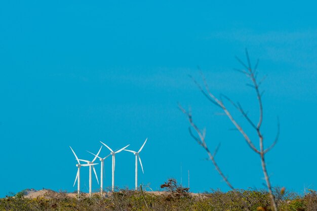 Tratwa Na Morzu I Turbiny Wiatrowe W Aracati W Pobliżu Fortaleza Ceara Brazylia