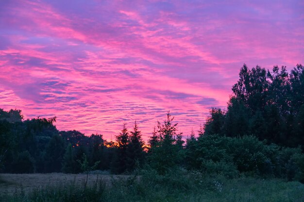 Trawa ??ka w ?wietle s?o?ca Scenic charakter widok Letni wieczór na terenach wiejskich