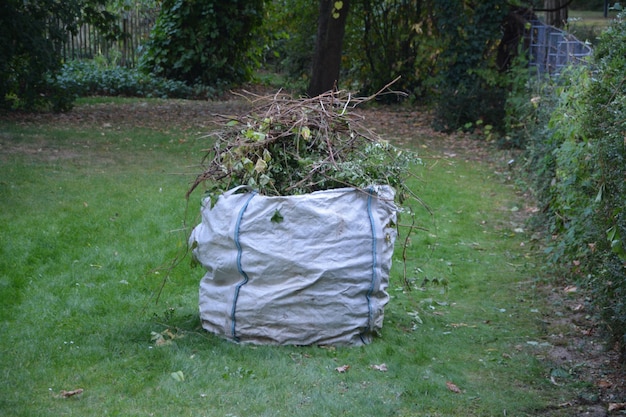 Zdjęcie trawa na polu