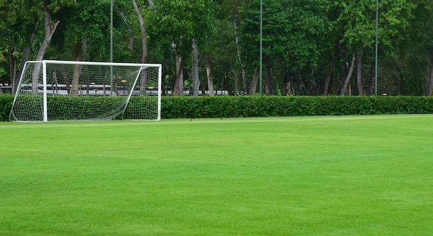 Trawa pole zielony trawnik piłka nożna piłka nożna sport natura golf tekstura murawa ogród linia stadion łąka roślina streszczenie wiosna wzór lato gra świeże cięcie stoczni kurs