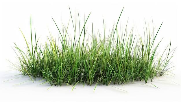 Trawa trawa przez sai 3d model na sprzedaż
