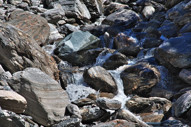 Trekking do Fox Glacier, Nowa Zelandia