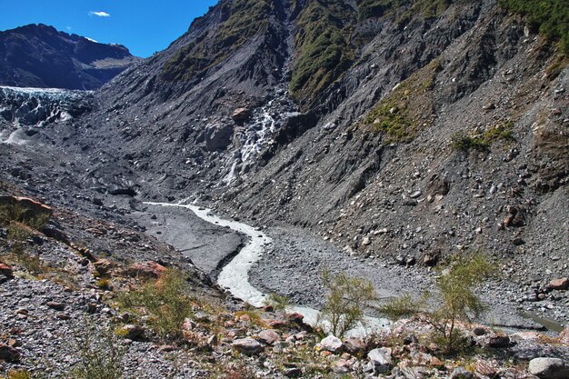 Trekking do Fox Glacier, Nowa Zelandia