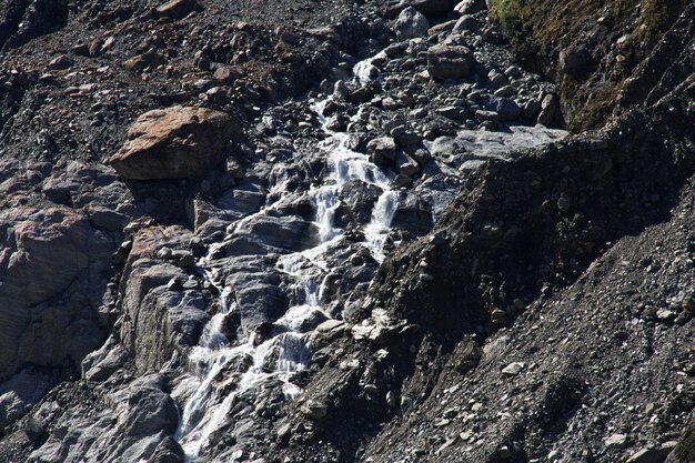 Trekking Do Fox Glacier, Nowa Zelandia