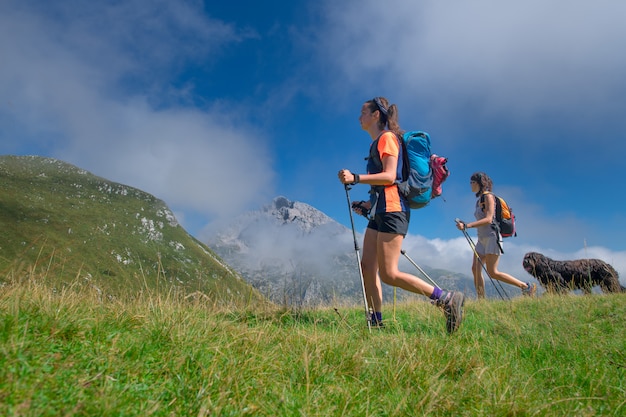 Trekking Dwóch Psów W Górach Z Psem