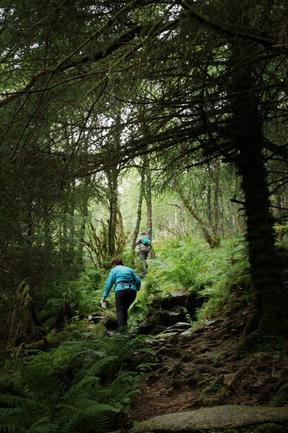 trekking w lesie pod górę