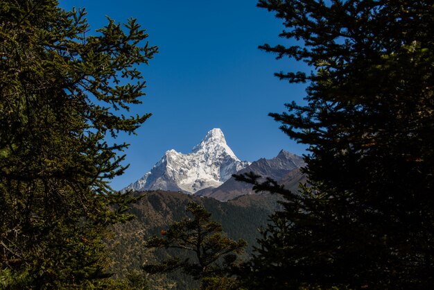 Trekking W Nepalu W Himalajach