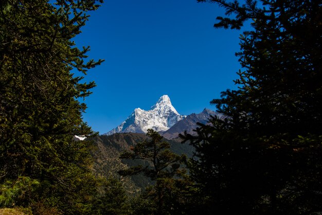 Zdjęcie trekking w nepalu w himalajach