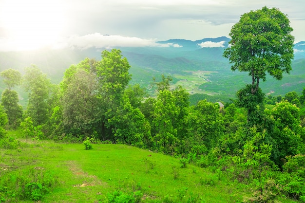 Trekking w Nepalu