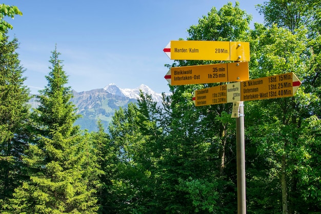 Trekkingowe znaki drogowe z pięknym tłem z widokiem na las w Interlaken