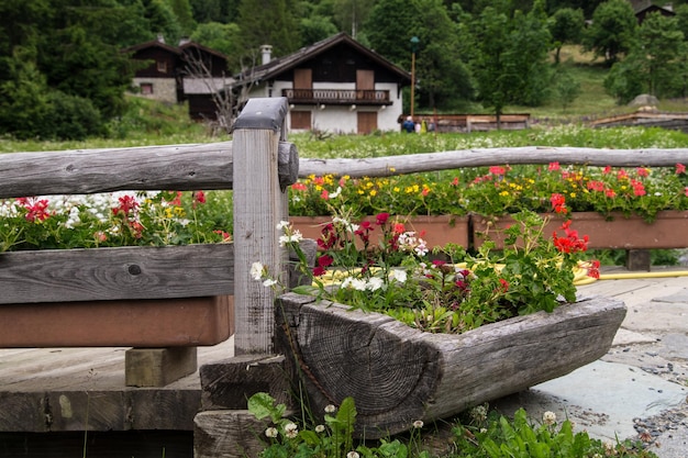 Zdjęcie trelechampchamonixhaute savoiefrancja