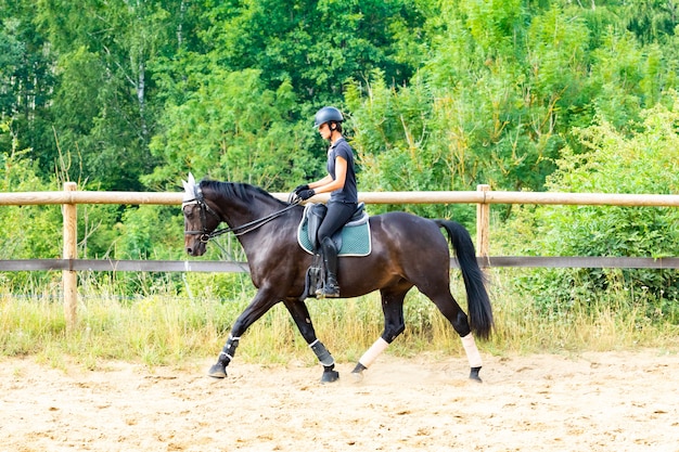 Trening Jeźdźca I Konia Laurowego W Ujeżdżeniu