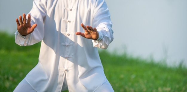 Zdjęcie trening tai chi chuan master w parku, chińskie sztuki walki.