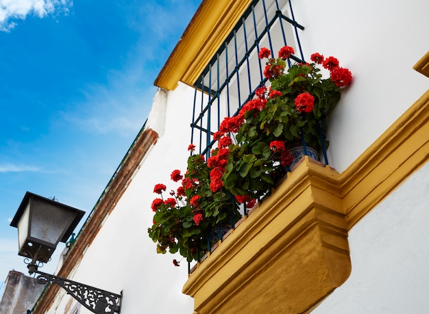 Triana barrio Sewilla fasady Andaluzja Hiszpania