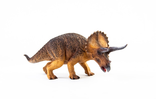 Triceratops, dinozaur na białym tle.
