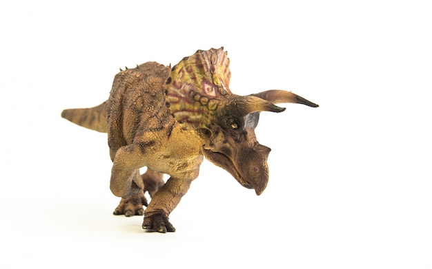 Zdjęcie triceratops, dinozaur