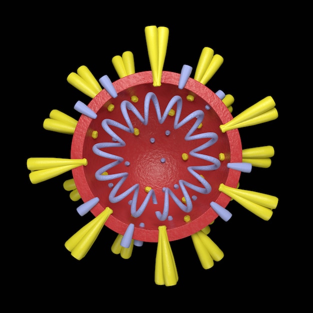 Trójwymiarowa komórka koronawirusów