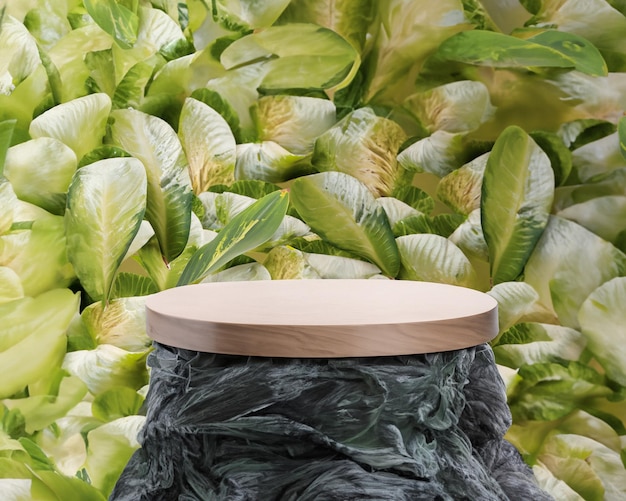 Zdjęcie trójwymiarowy krąg fotograficzny drewniany i kamienny podium z calathea orbifold kwiatowym tłem dla produktu