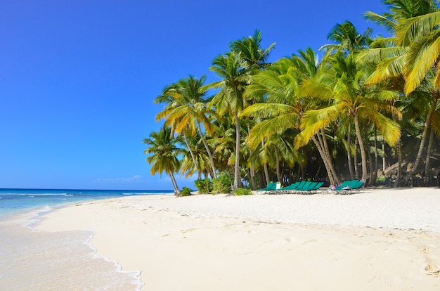 Tropical Beach, wyspa Saona, Dominikana.