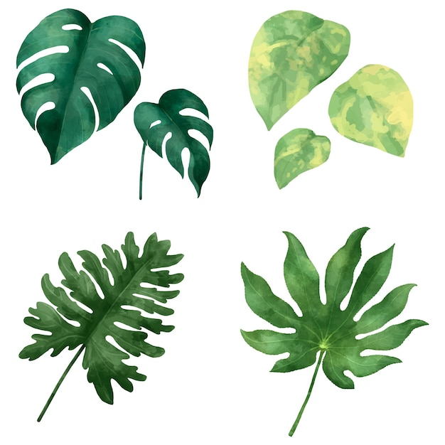 Tropical png akwarelowy zestaw roślin