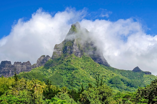 Tropikalna góra w Moorea, Polinezja Francuska