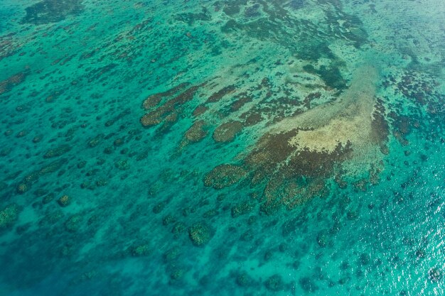 Tropikalna laguna wyspy Ishigaki