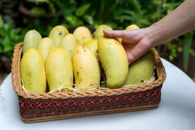 Tropikalna Owoc Mango W Drewnianym Koszu