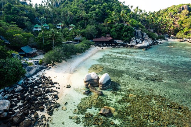 Tropikalna plaża i kokosowe drzewo przy koh tao