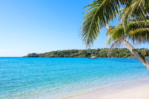 Zdjęcie tropikalna plaża jako lato dla podróży w czasie odpoczynku wakacyjnym xa