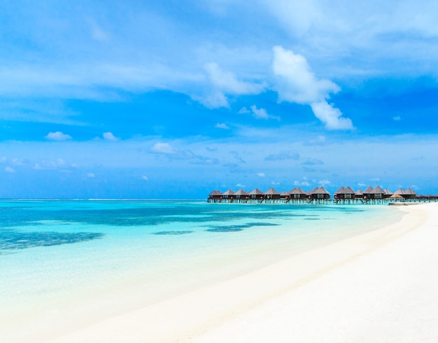 Tropikalna plaża na Malediwach z kilkoma palmami i błękitną laguną