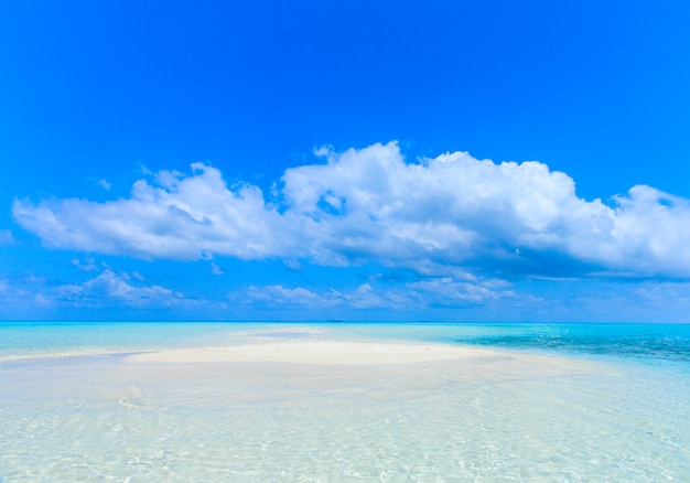 Tropikalna plaża na Malediwach z kilkoma palmami i błękitną laguną