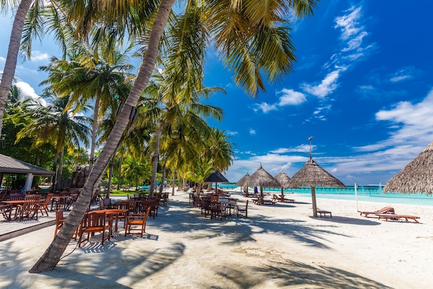 Tropikalna plaża na Malediwach z palmami i tętniącą życiem, zachęcającą laguną