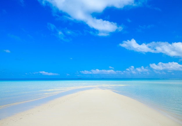 Tropikalna plaża na Malediwach