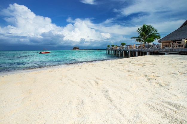 Tropikalna plaża na Malediwach