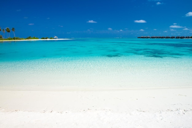 Tropikalna plaża na Malediwach