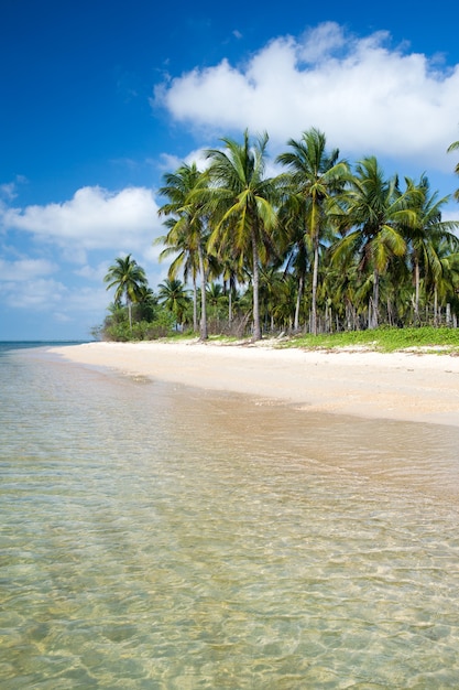 Tropikalna plaża na Sri Lance. Letnie wakacje i koncepcja wakacji dla turystyki.