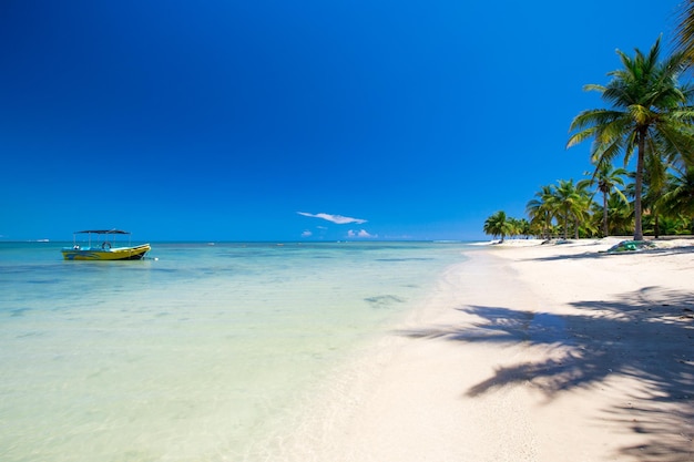 Tropikalna plaża na Sri Lance Letnie wakacje i koncepcja wakacji dla turystyki